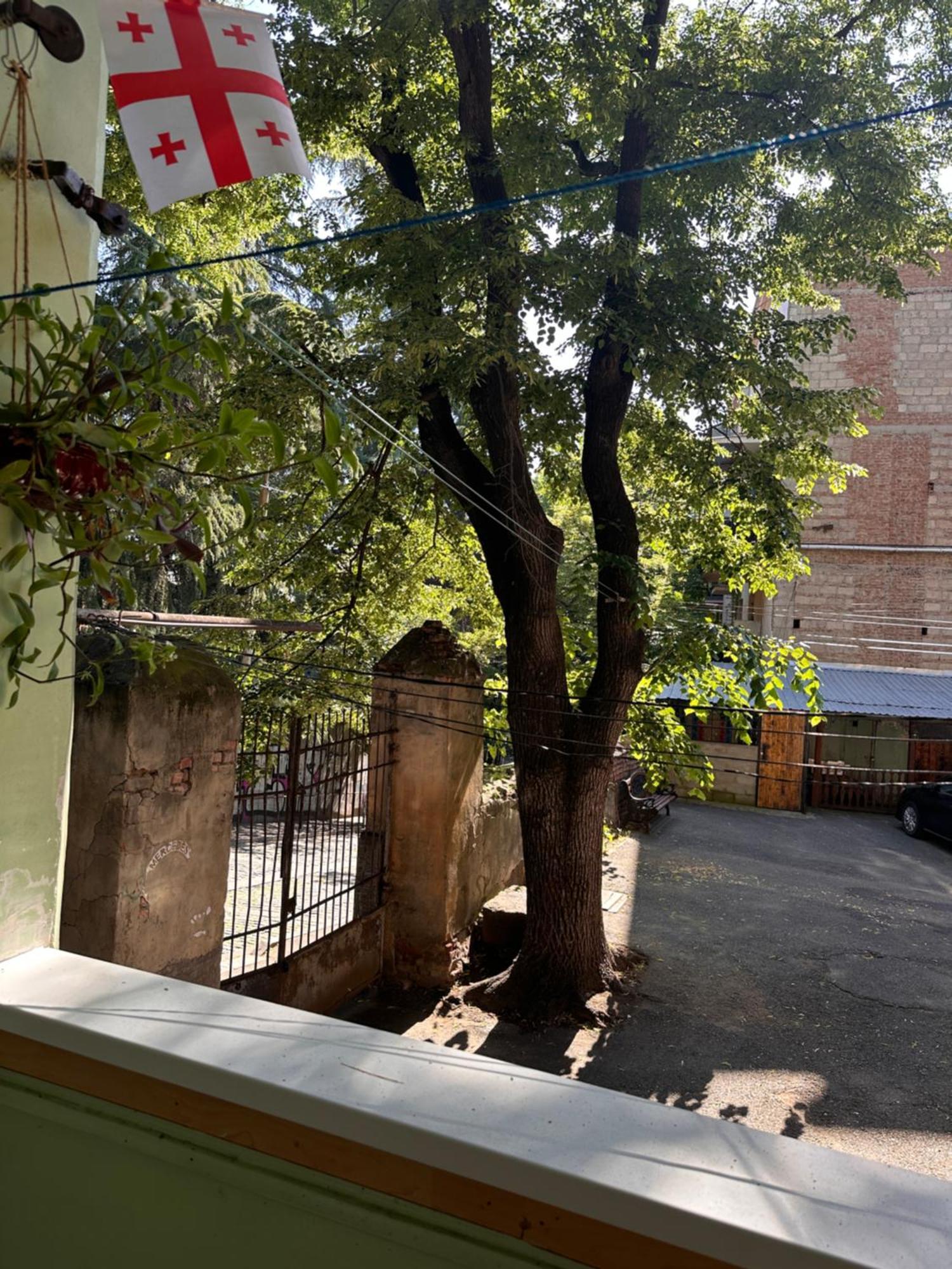 Authentic Old Tbilisi Apartment Eksteriør billede